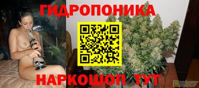 mdpv Новодвинск